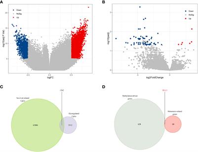 Methylation-driven gene DLL3 is a potential prognostic biomarker in ocular melanoma correlating with metastasis